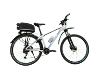 Beekbike Bikepatrol 29ₑᵣ  MTB MT3