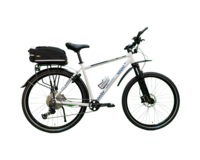 Beekbike Bikepatrol 29ₑᵣ MTB MT2